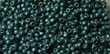 Rocaille 11/0 - Duracoat Galvanized Matte Sea Foam - 4217F