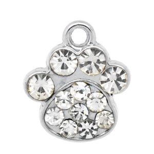 Bedeltje pootje met strass