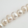 Zoetwaterparels white * +/- 12x11mm/10x9mm * B0111494